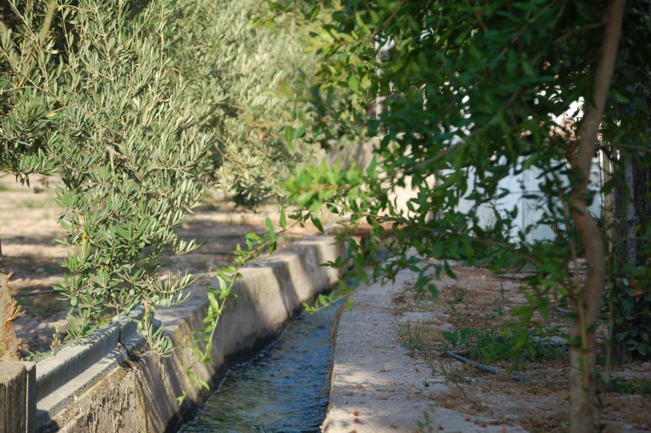 בית הארחה אלמריה 	Cortijo Andaluz Dona Adela מראה חיצוני תמונה
